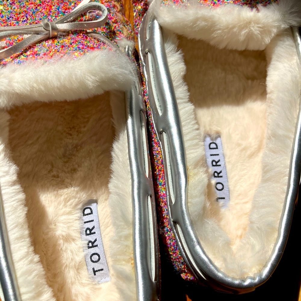 Glittery House Slippers size 11W